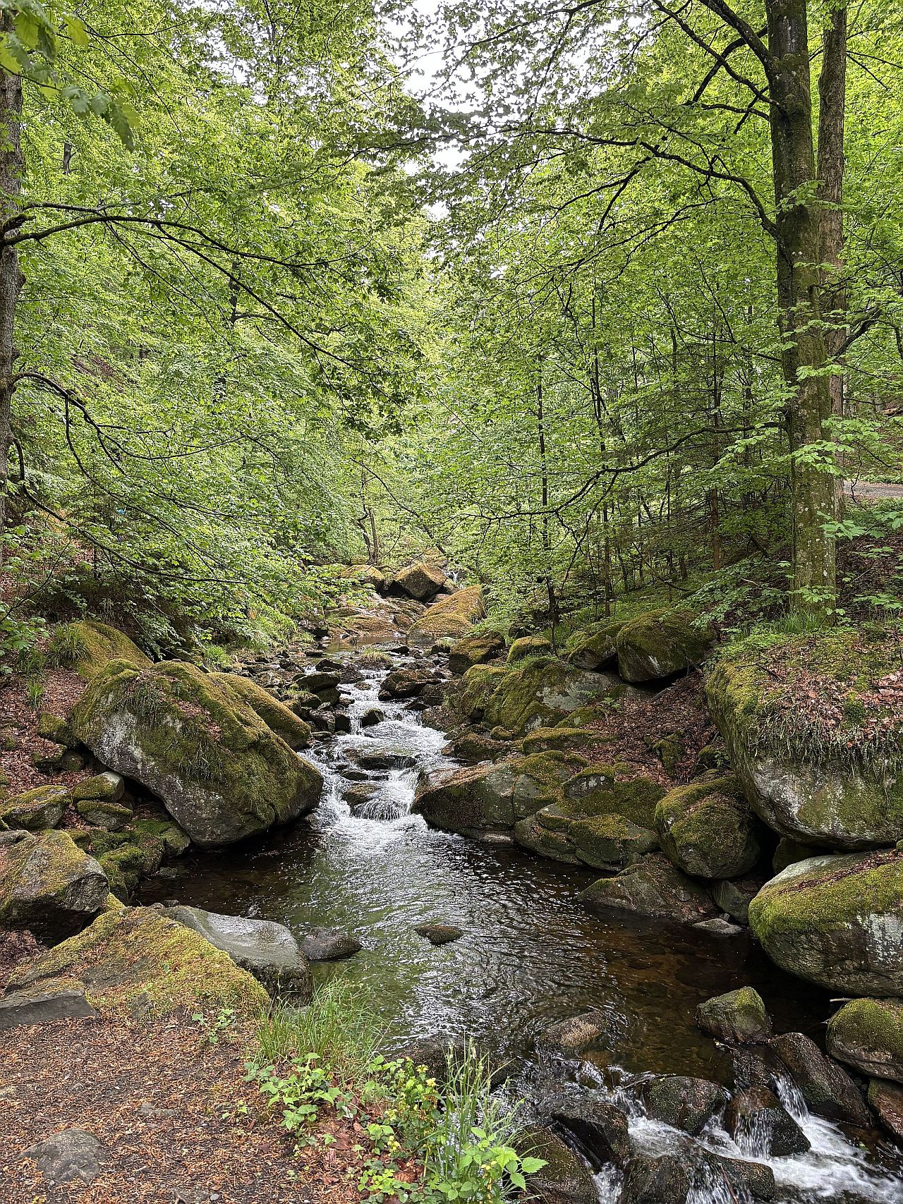 Ilsetal
