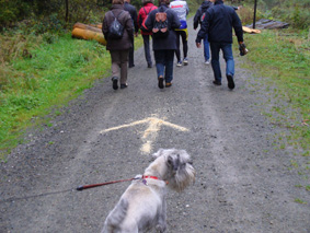 Felix mit Markierungspfeil